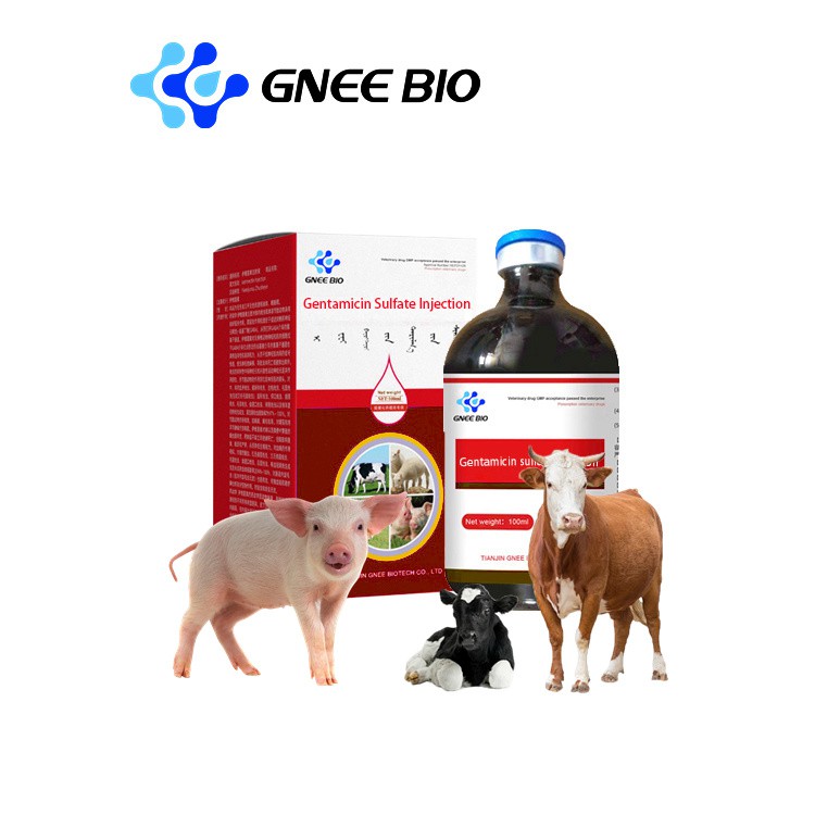 Pharmaceutical Chemical Gentamicin Injection Veterinary Drug Pharmaceutical Chemical Gentamicin Injection Veterinary Drug